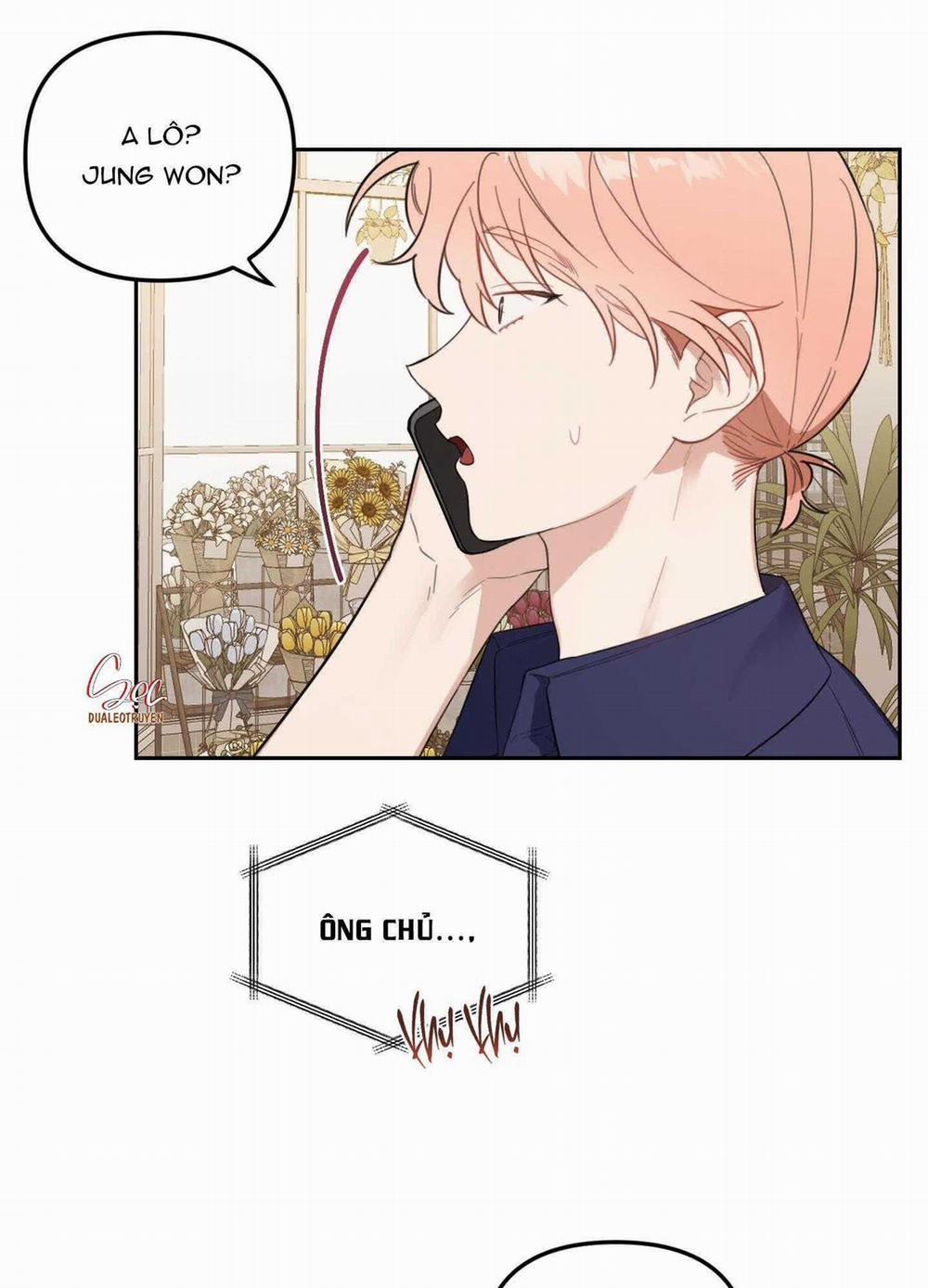 Vườn Hoa 29 trang 46