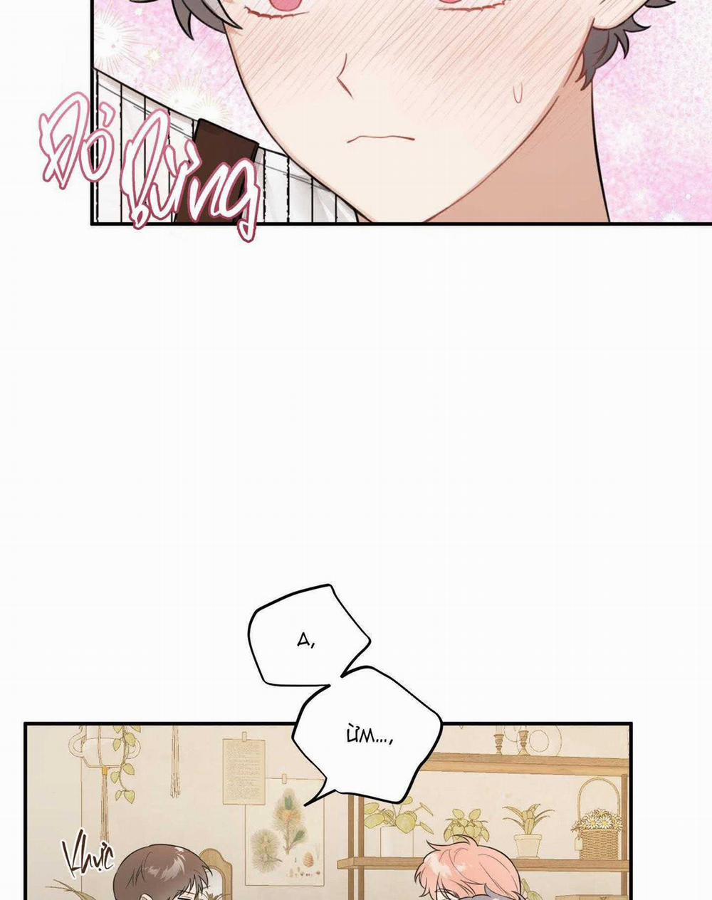 Vườn Hoa 31 trang 47