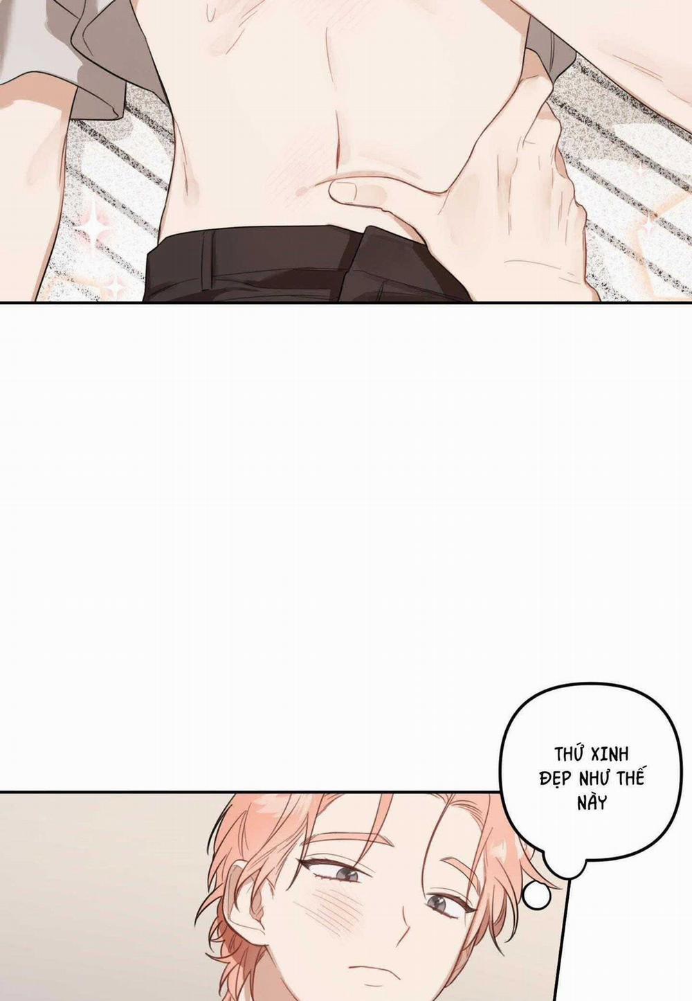 Vườn Hoa 32 trang 48