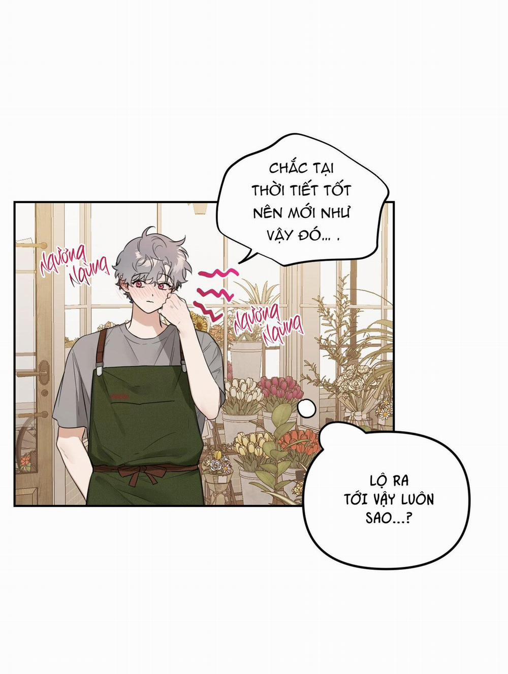 Vườn Hoa 35 trang 12