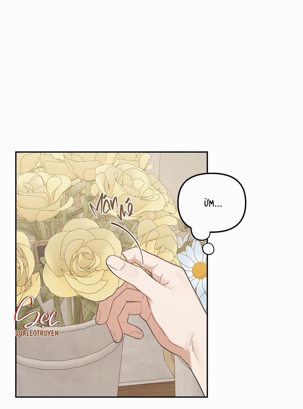 Vườn Hoa 35 trang 2