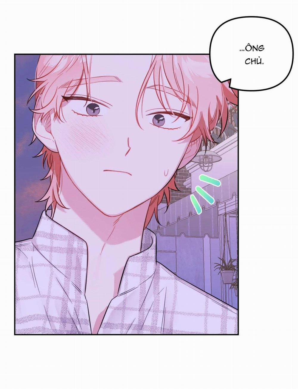 Vườn Hoa 36 trang 11