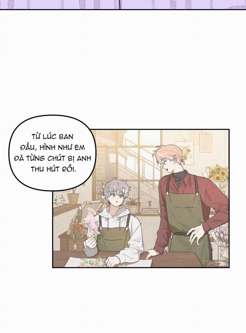 Vườn Hoa 36 trang 29