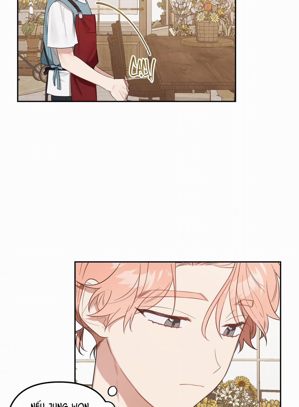 Vườn Hoa 37 trang 49