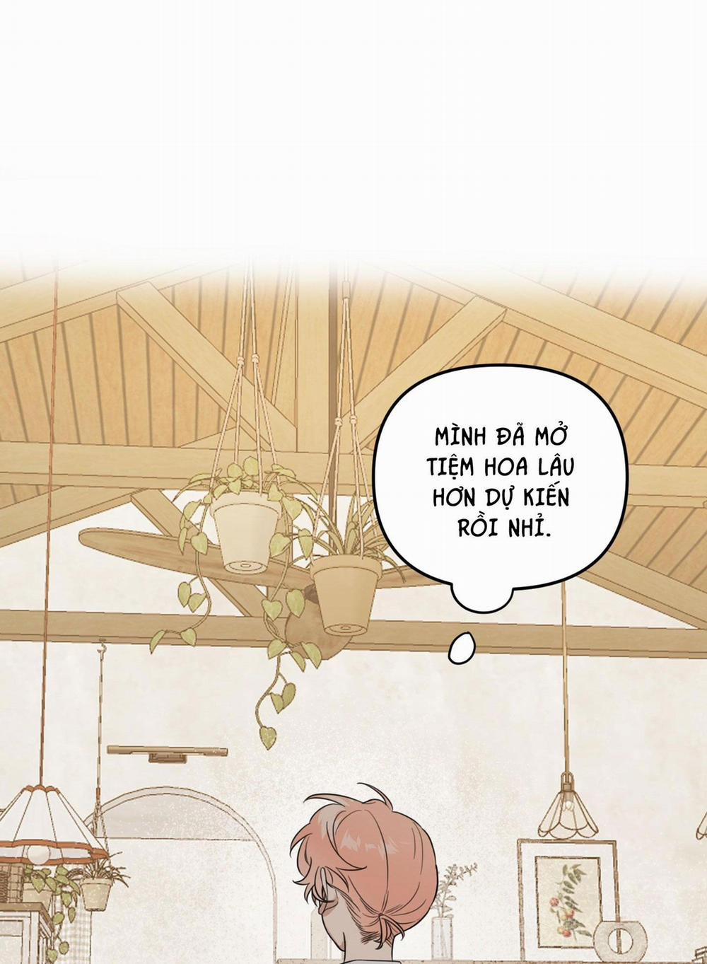 Vườn Hoa 37 trang 51