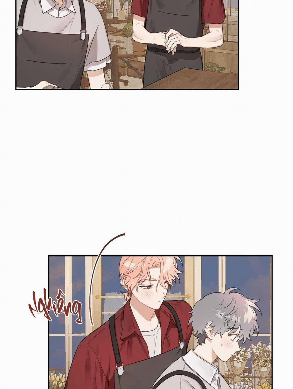 Vườn Hoa 39 trang 17