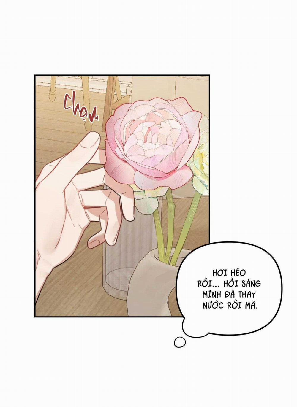 Vườn Hoa 39 trang 55