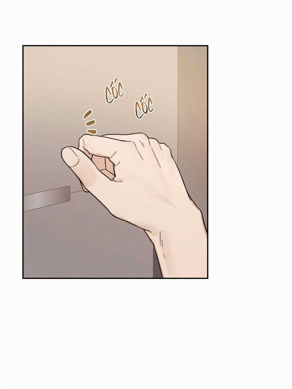 Vườn Hoa 40 trang 3