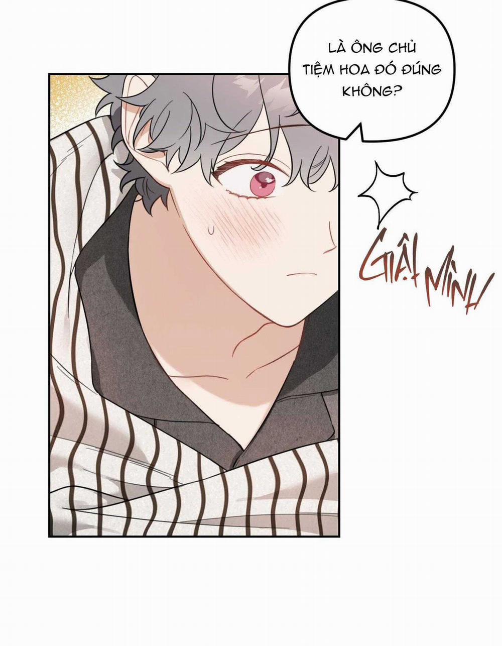 Vườn Hoa 40 trang 33