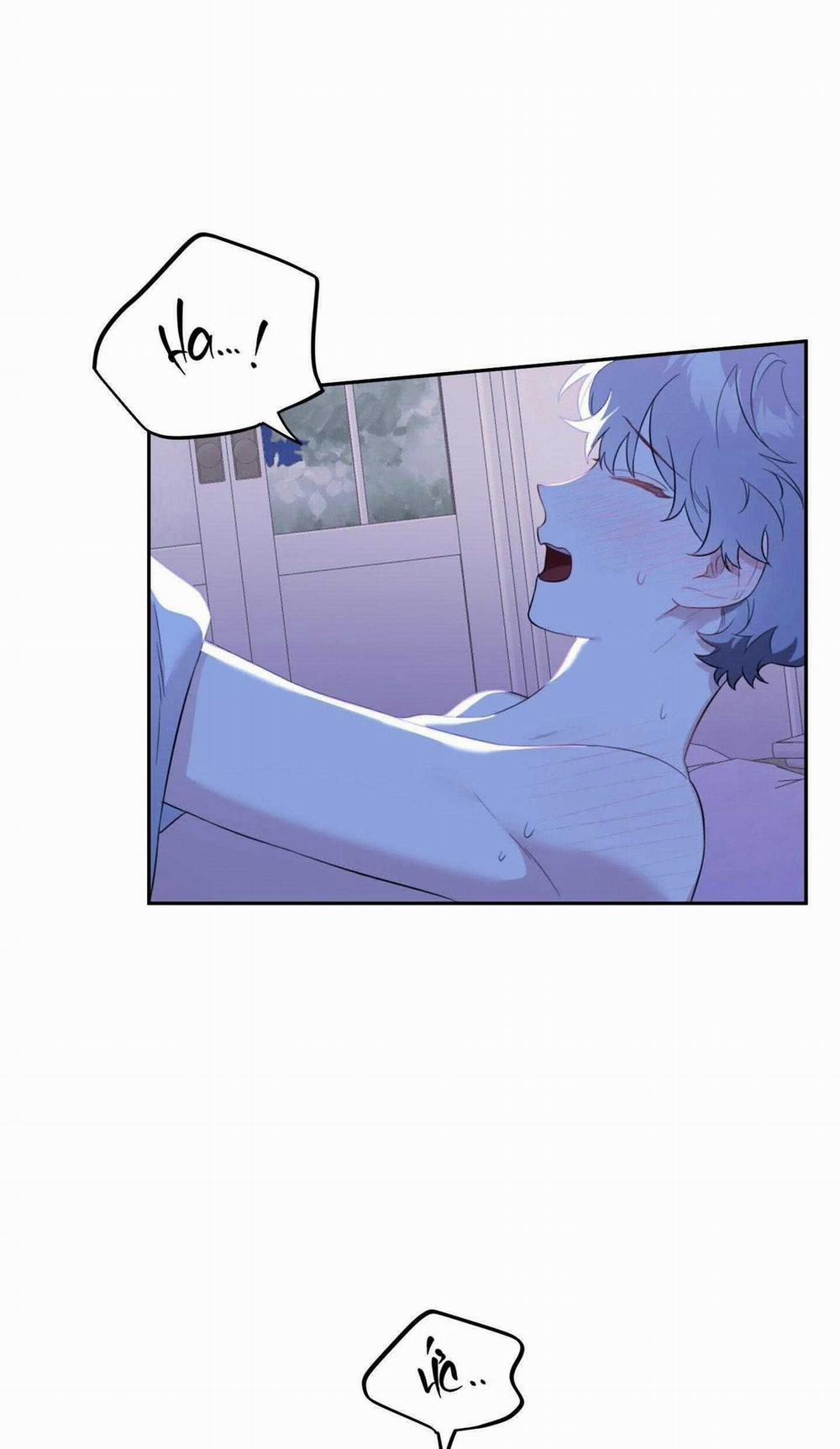 Vườn Hoa 45 trang 12