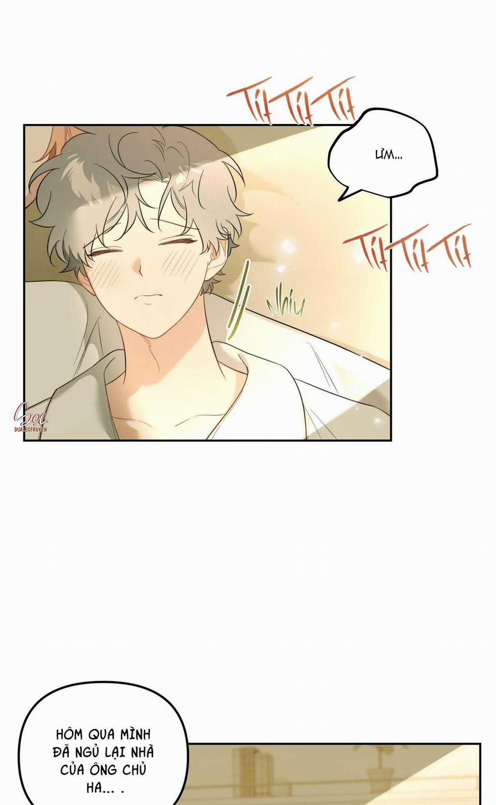 Vườn Hoa 46 trang 2