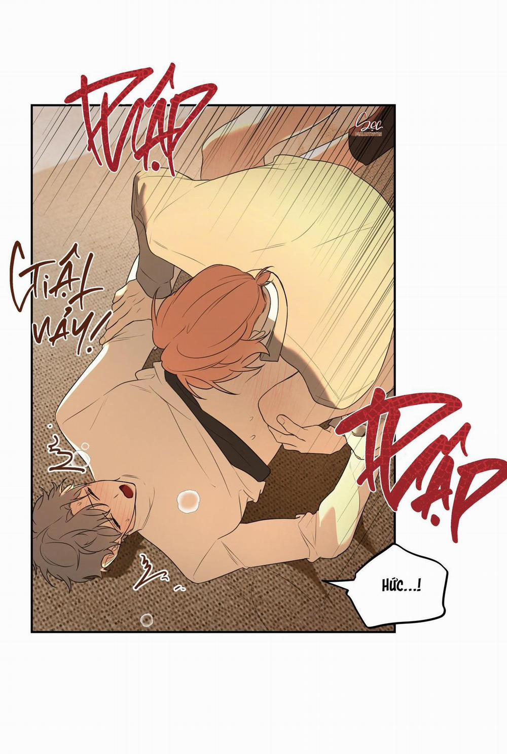 Vườn Hoa 5 trang 40