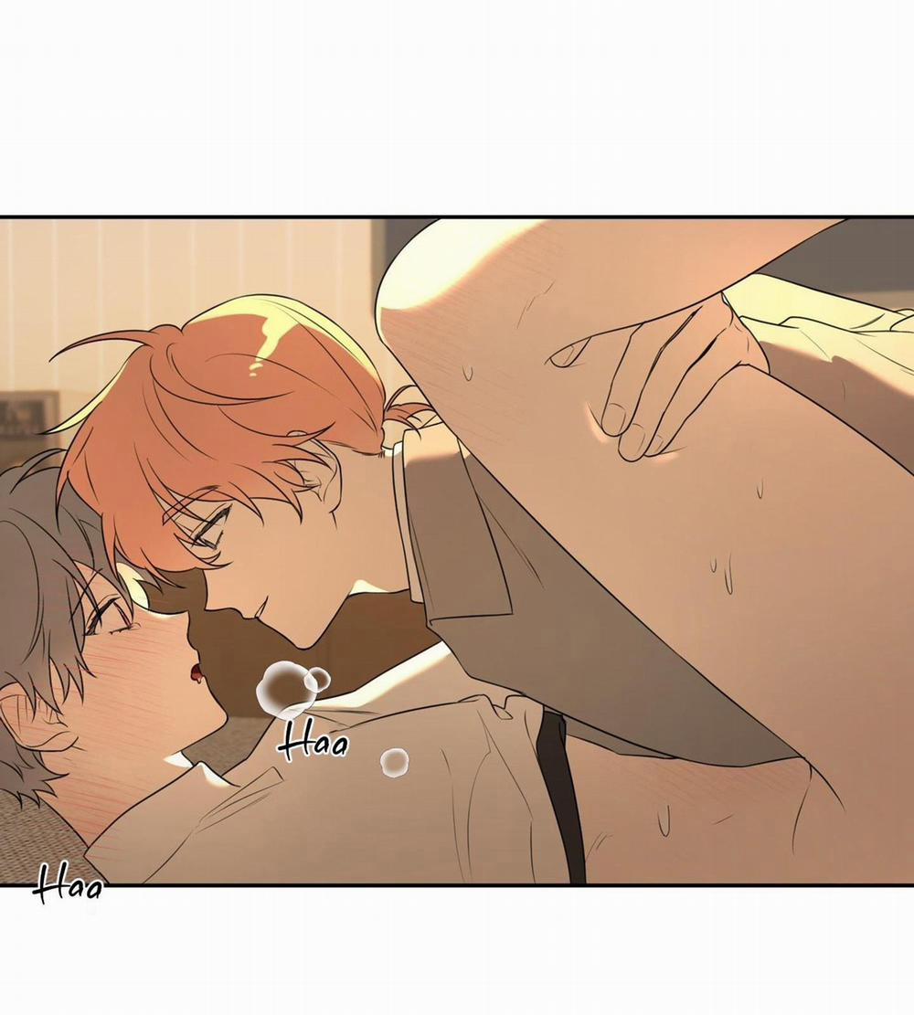 Vườn Hoa 5 trang 41