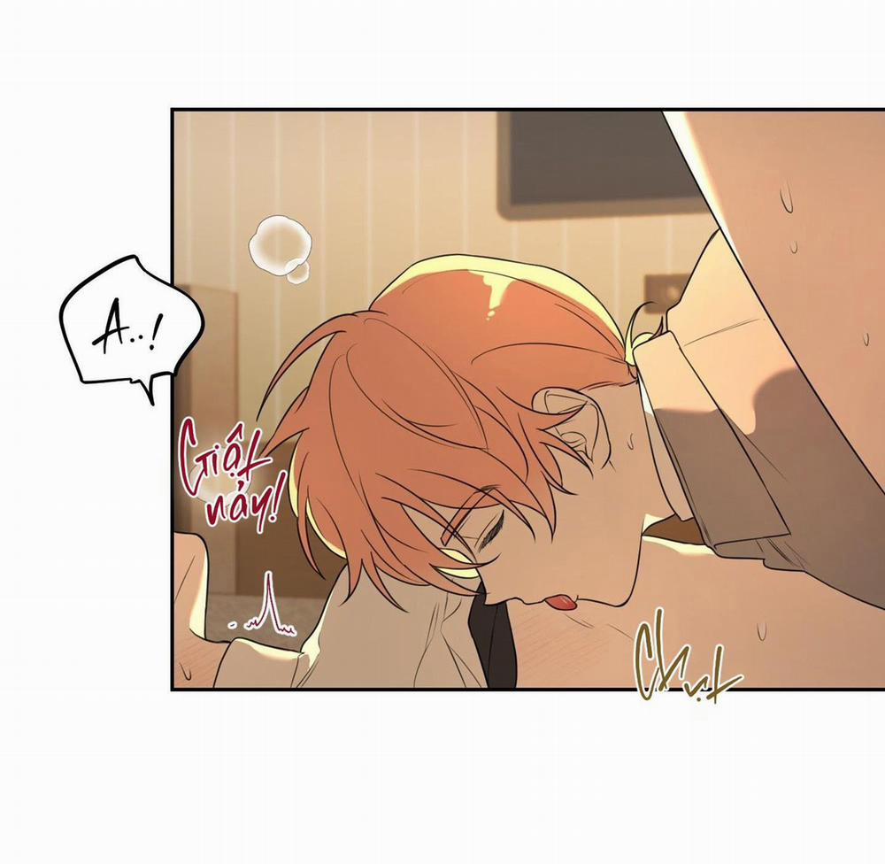 Vườn Hoa 5 trang 42