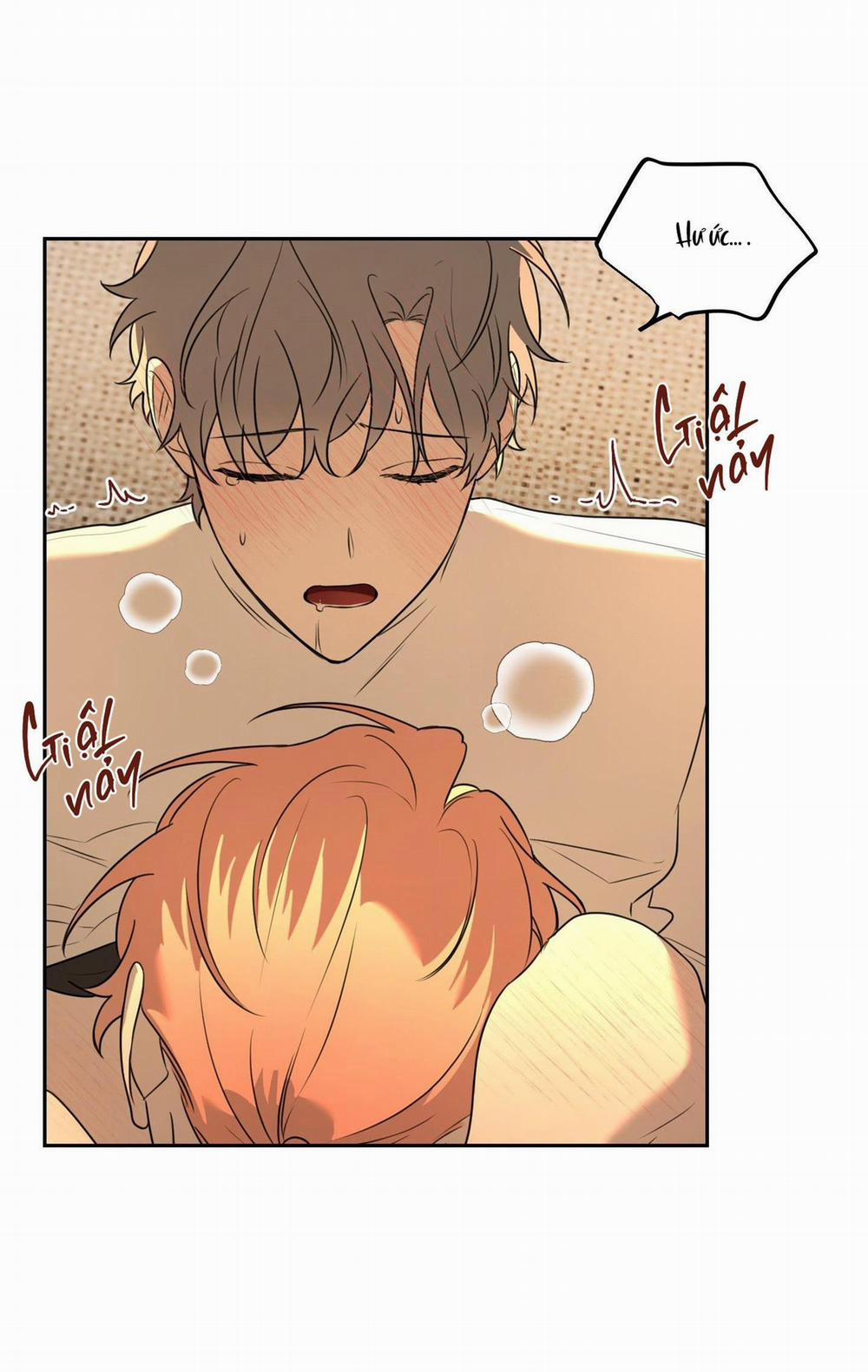 Vườn Hoa 5 trang 43