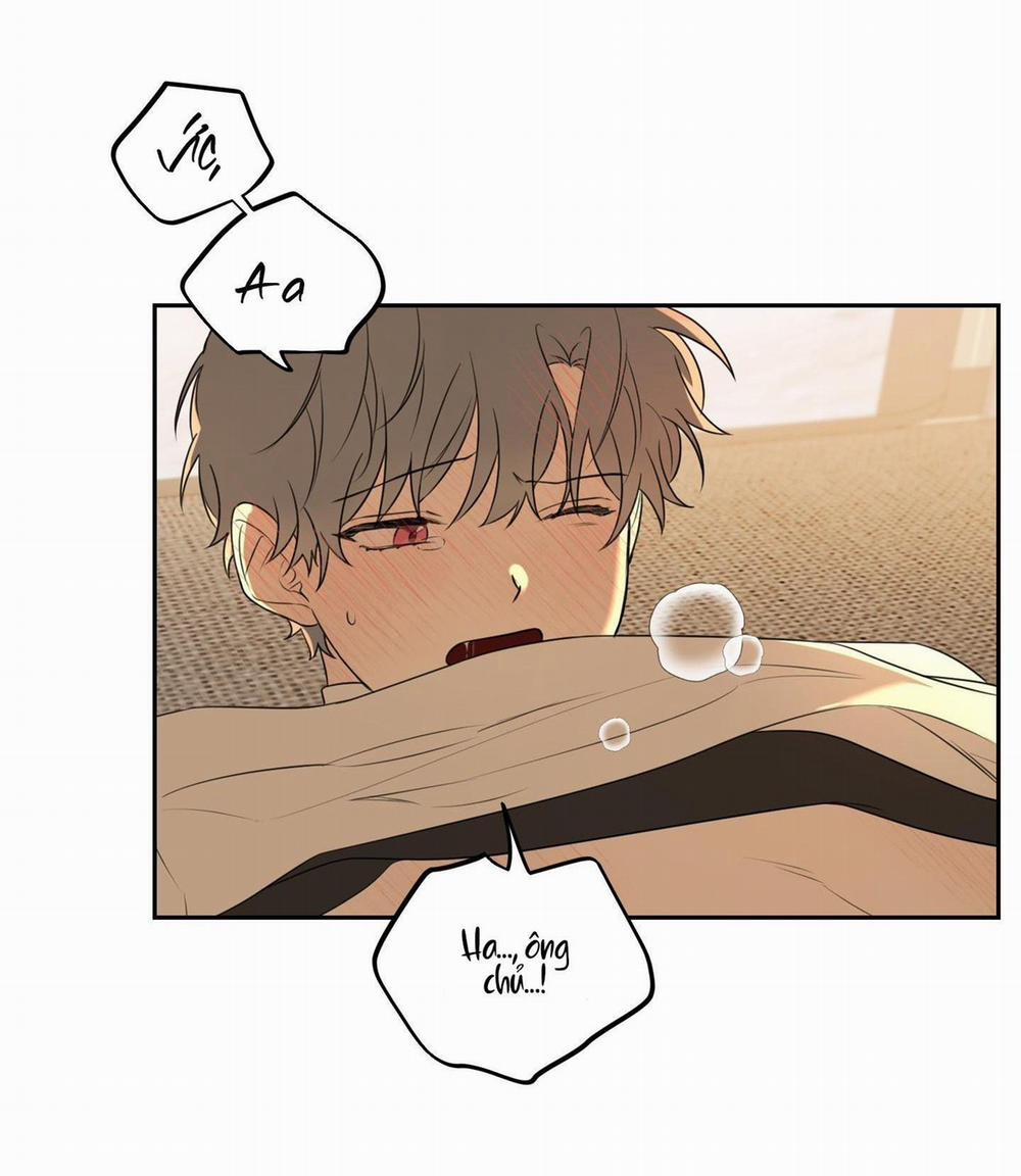 Vườn Hoa 5 trang 48