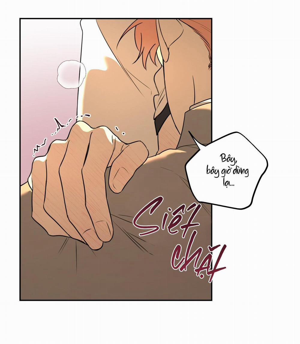 Vườn Hoa 5 trang 53