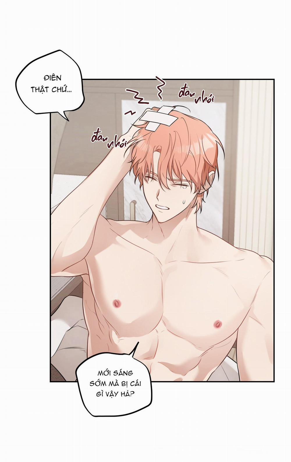 Vườn Hoa 6 trang 13