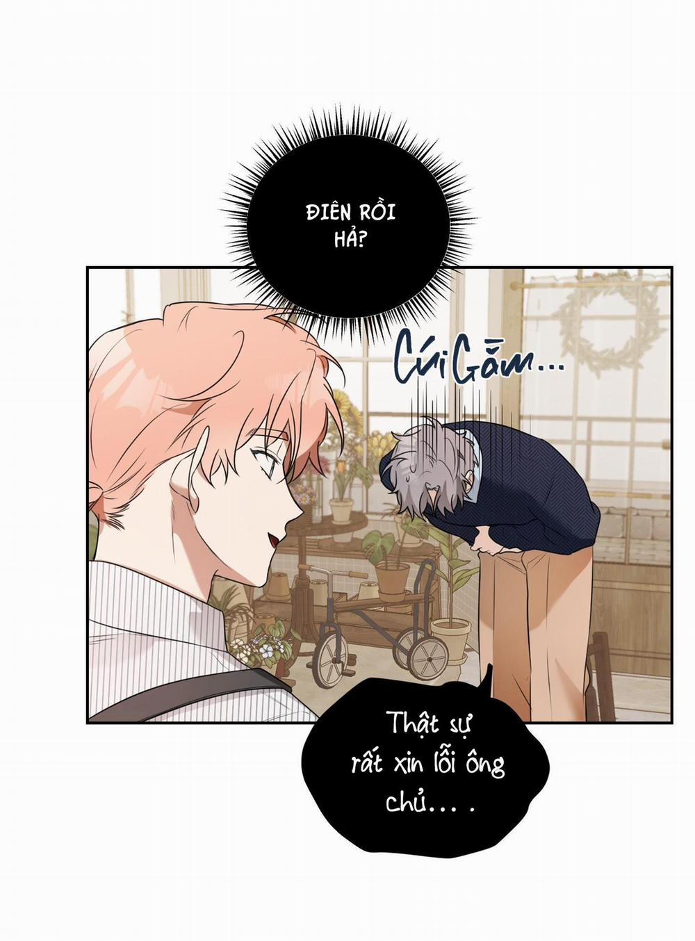 Vườn Hoa 6 trang 42