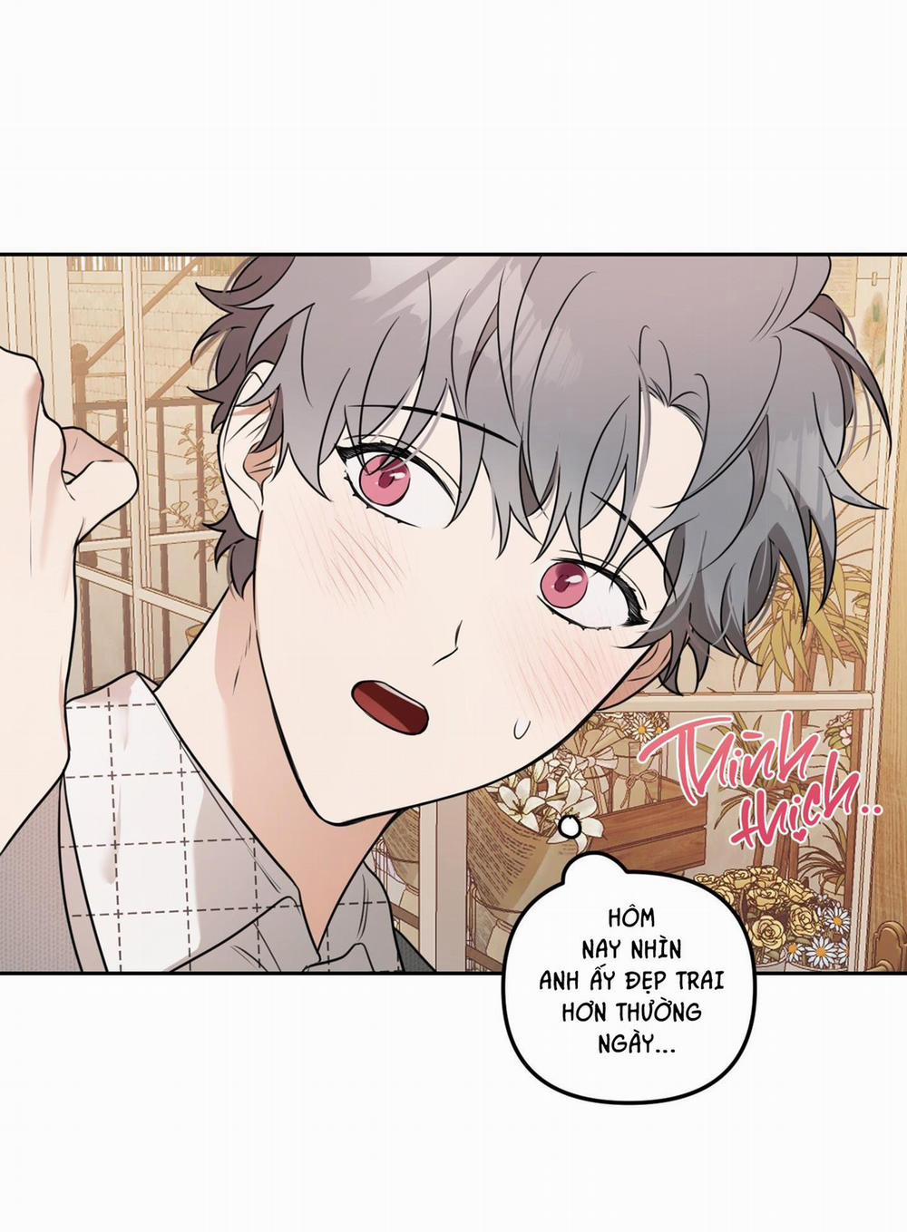 Vườn Hoa 7 trang 22