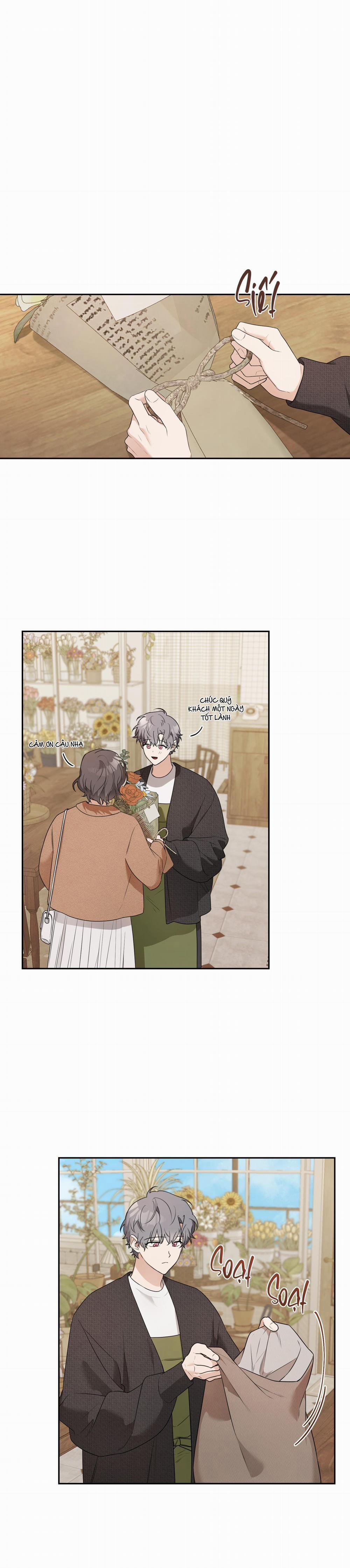 Vườn Hoa 8 trang 1