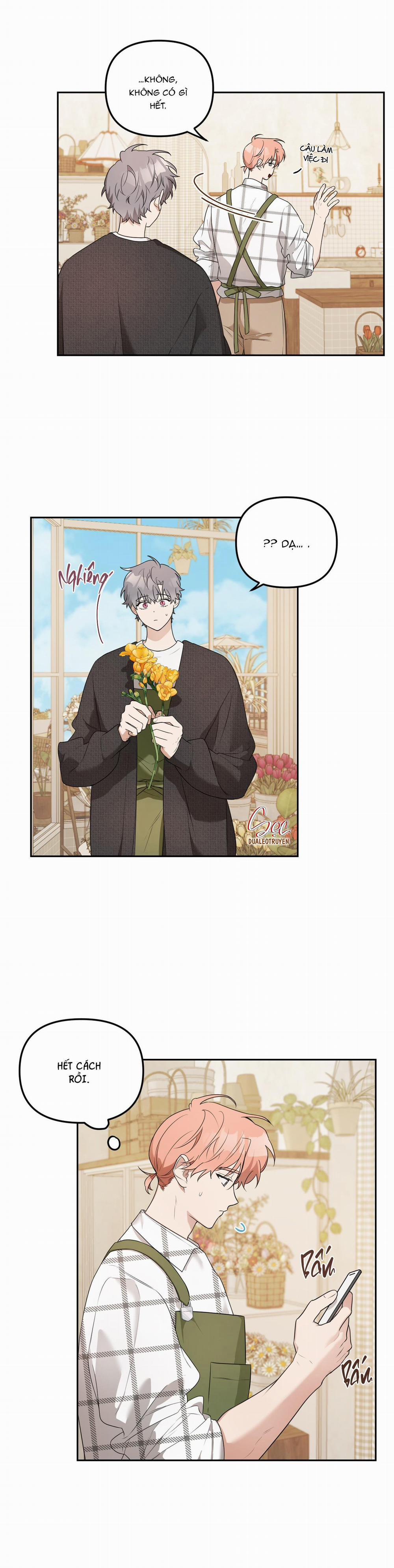 Vườn Hoa 8 trang 15