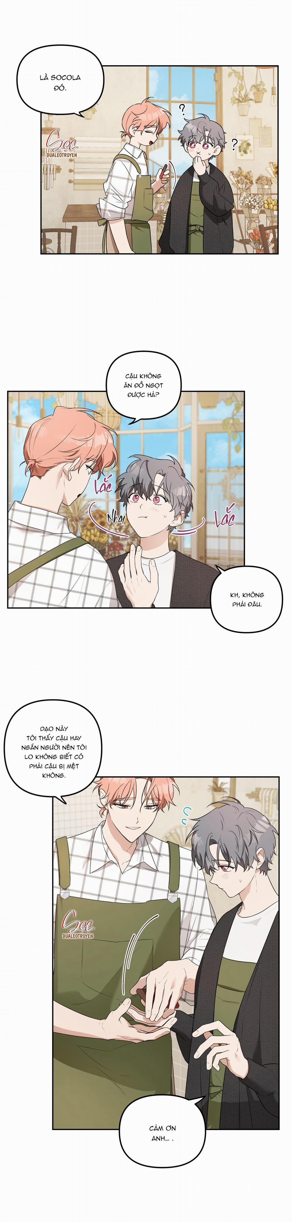 Vườn Hoa 8 trang 4