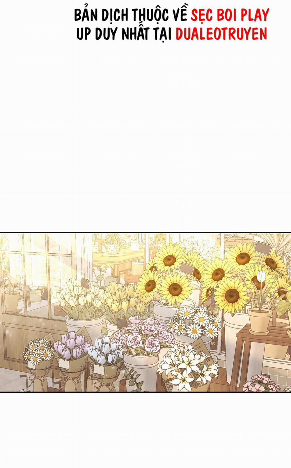 Vườn Hoa 9 trang 49