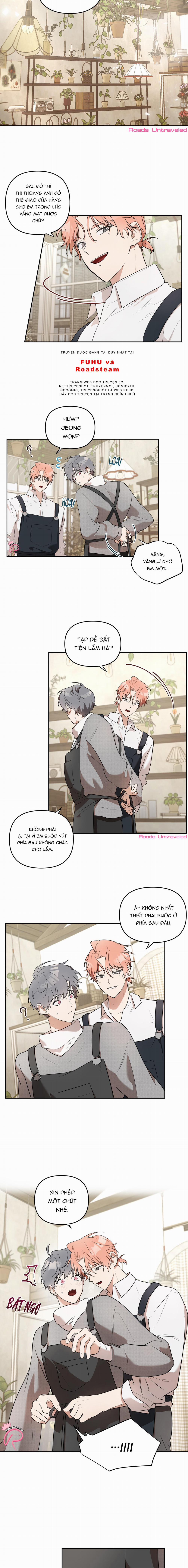 Vườn Nhà Có Hoa 2 trang 3