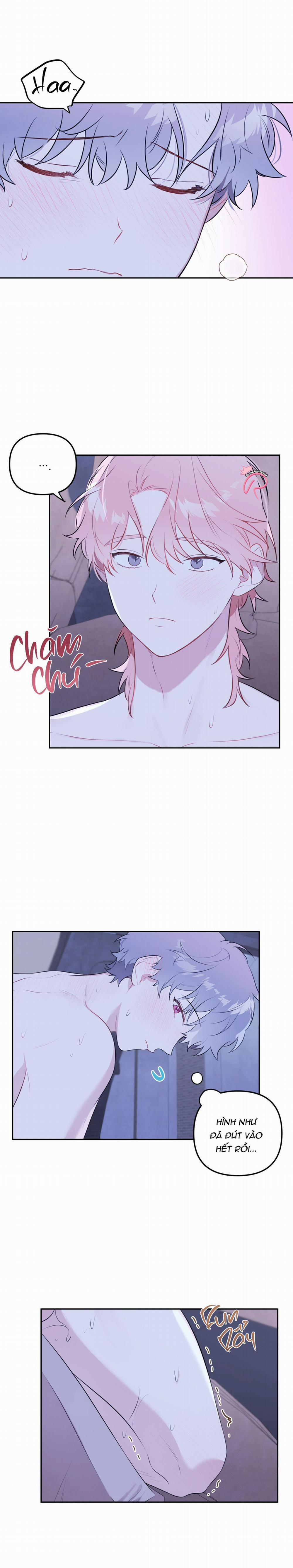 Vườn Nhà Có Hoa 26 trang 11