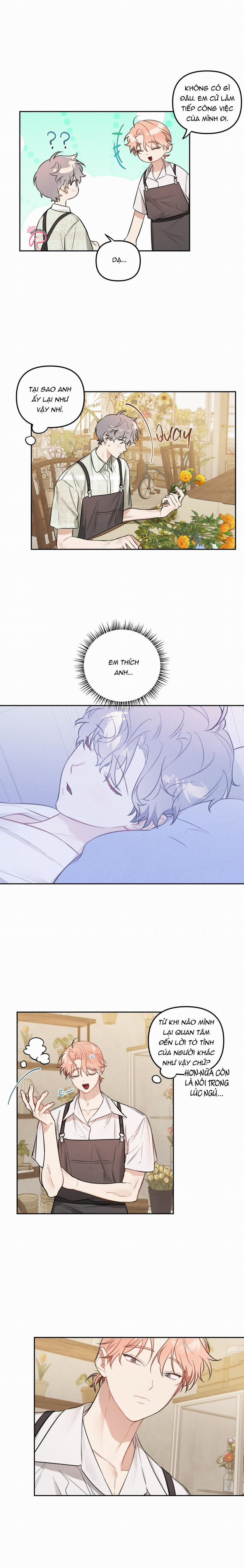 Vườn Nhà Có Hoa 28 trang 2