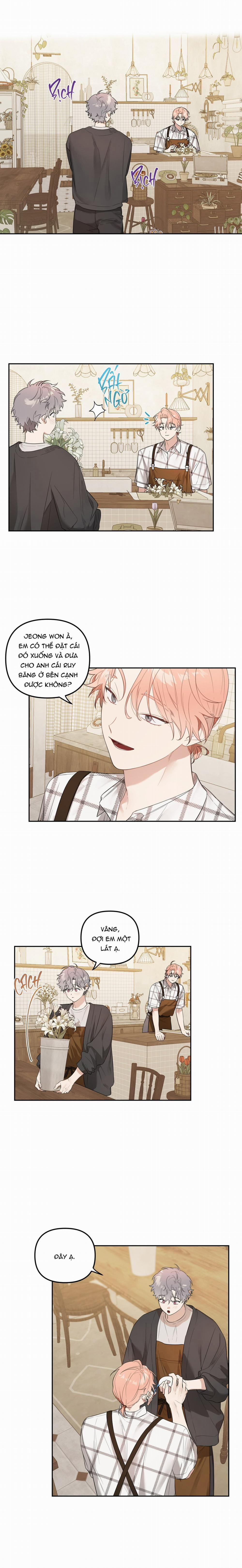 Vườn Nhà Có Hoa 28 trang 4