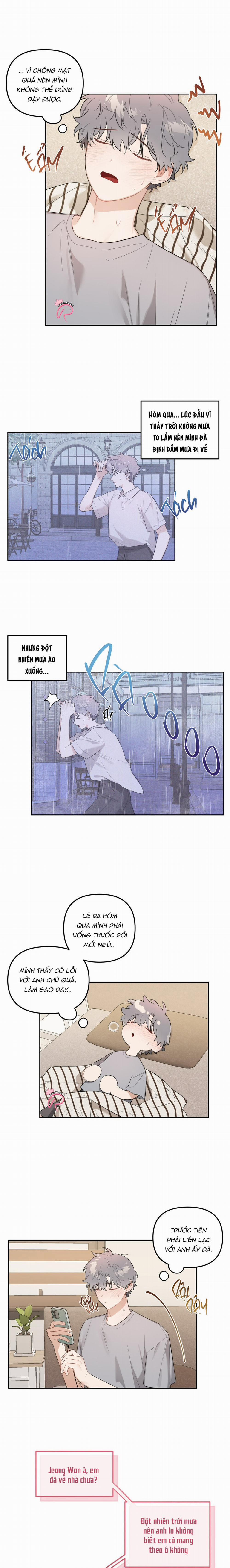 Vườn Nhà Có Hoa 29 trang 8