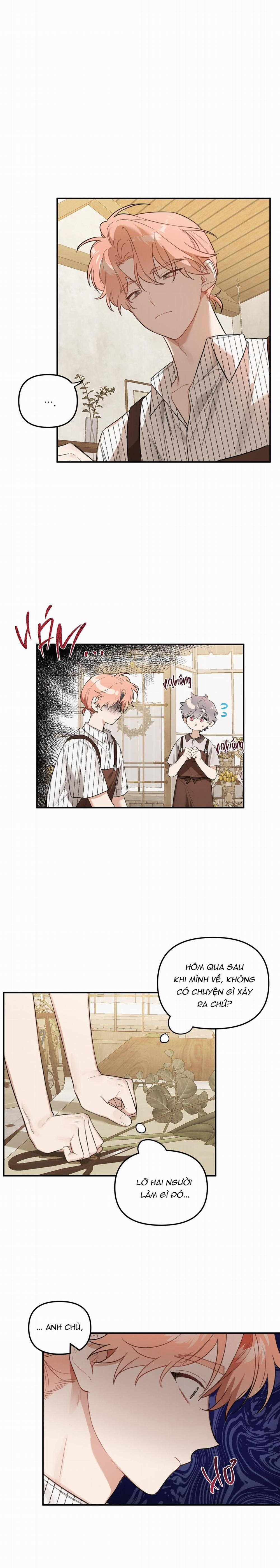 Vườn Nhà Có Hoa 31 trang 1