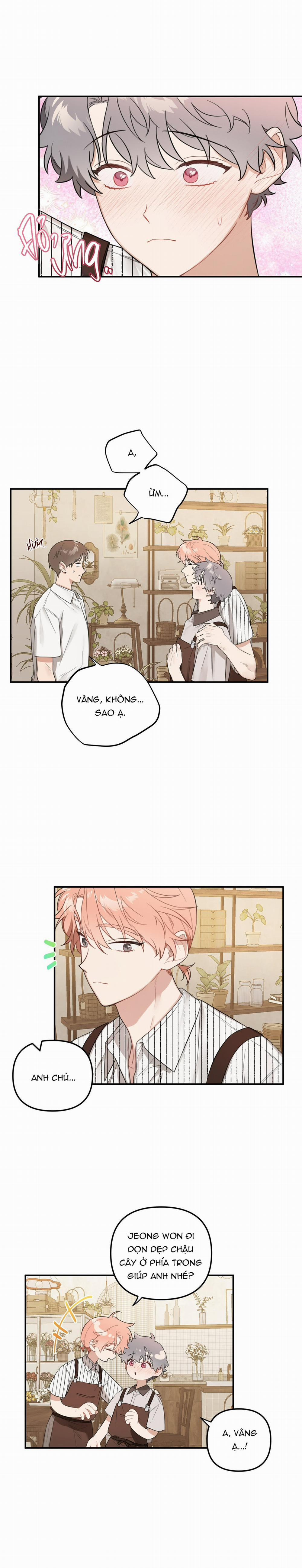 Vườn Nhà Có Hoa 31 trang 11