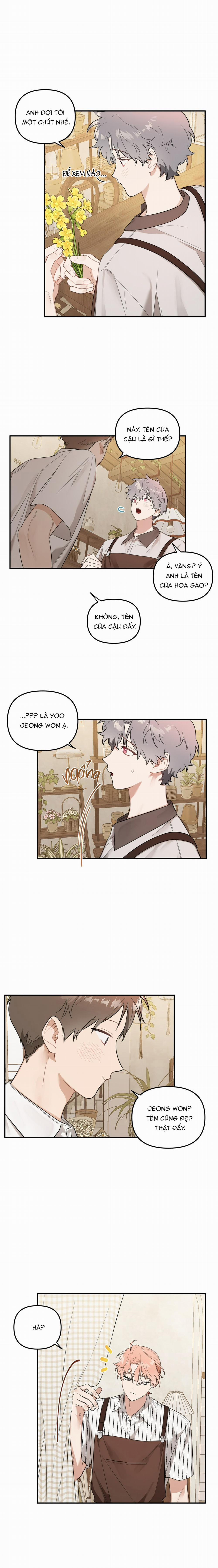 Vườn Nhà Có Hoa 31 trang 9