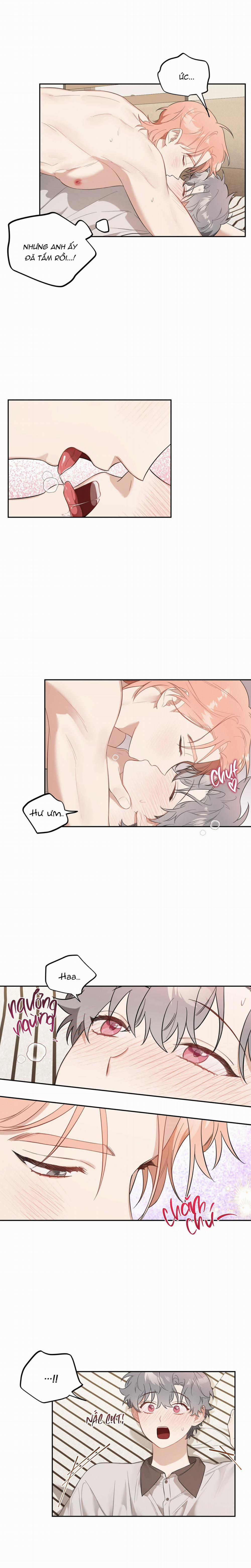 Vườn Nhà Có Hoa 32 trang 10