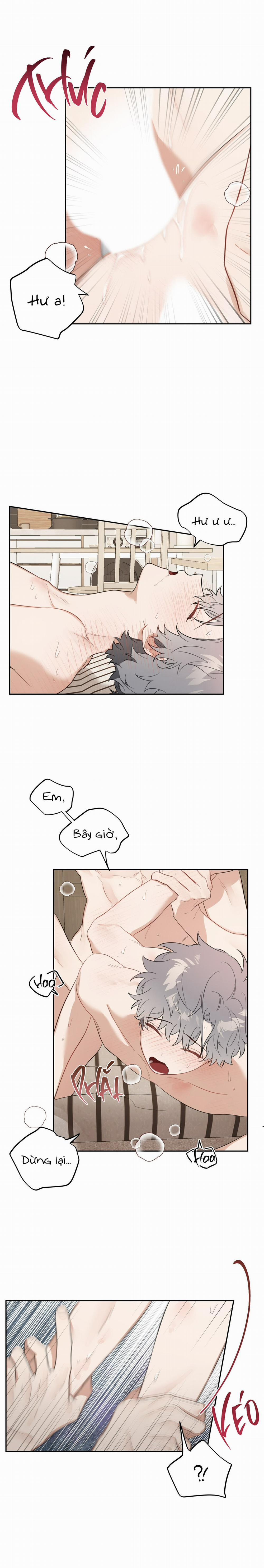 Vườn Nhà Có Hoa 33 trang 4