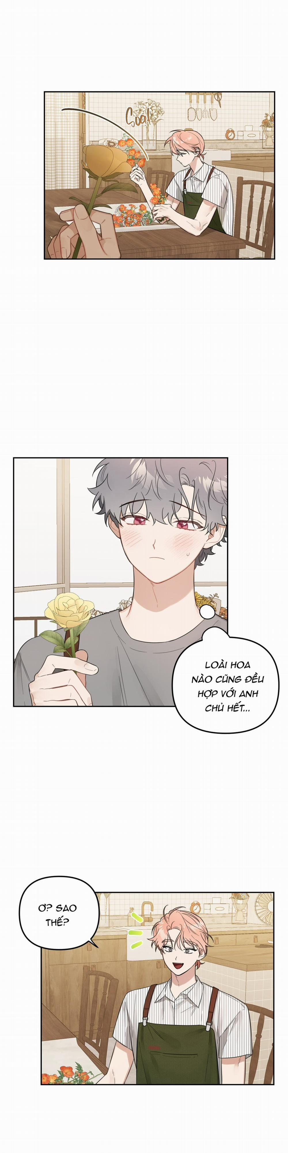 Vườn Nhà Có Hoa 35 trang 2