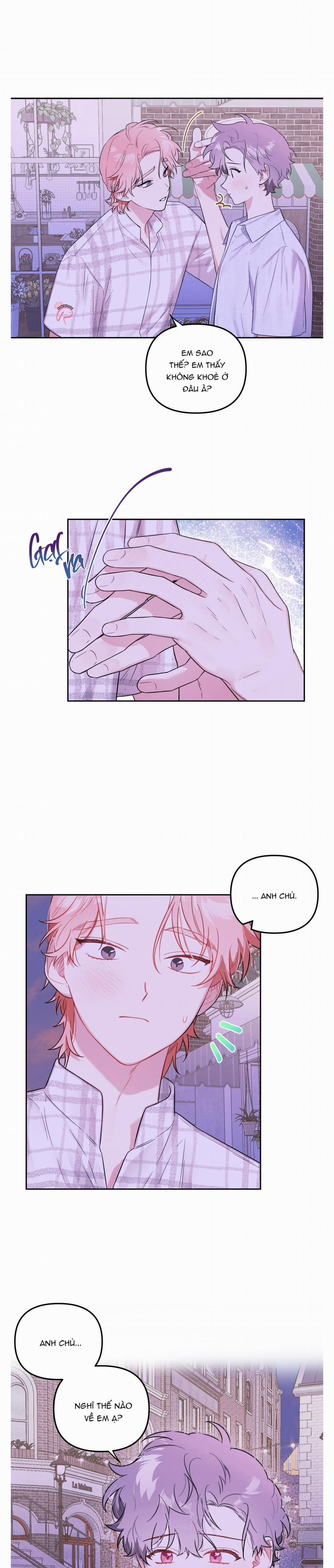 Vườn Nhà Có Hoa 36 trang 3