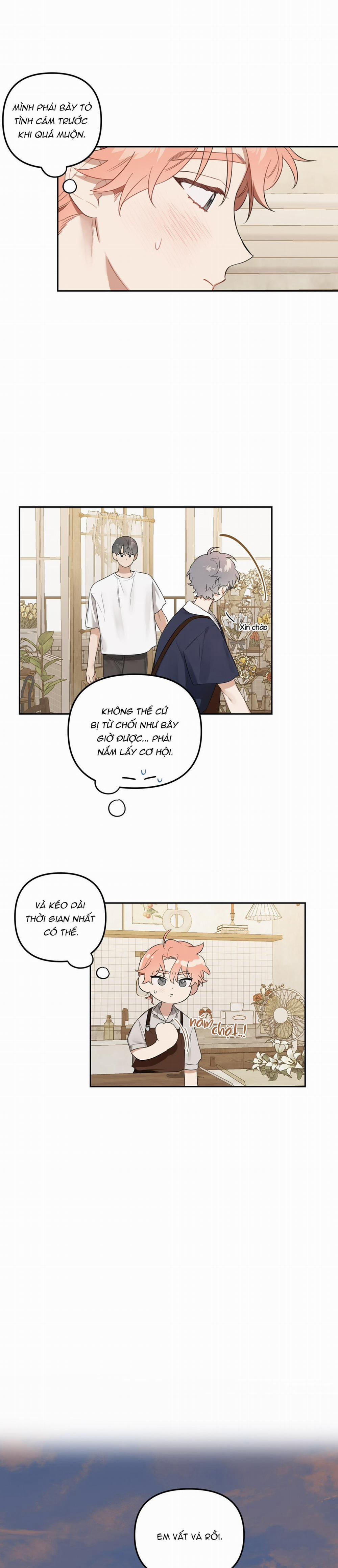 Vườn Nhà Có Hoa 38 trang 15