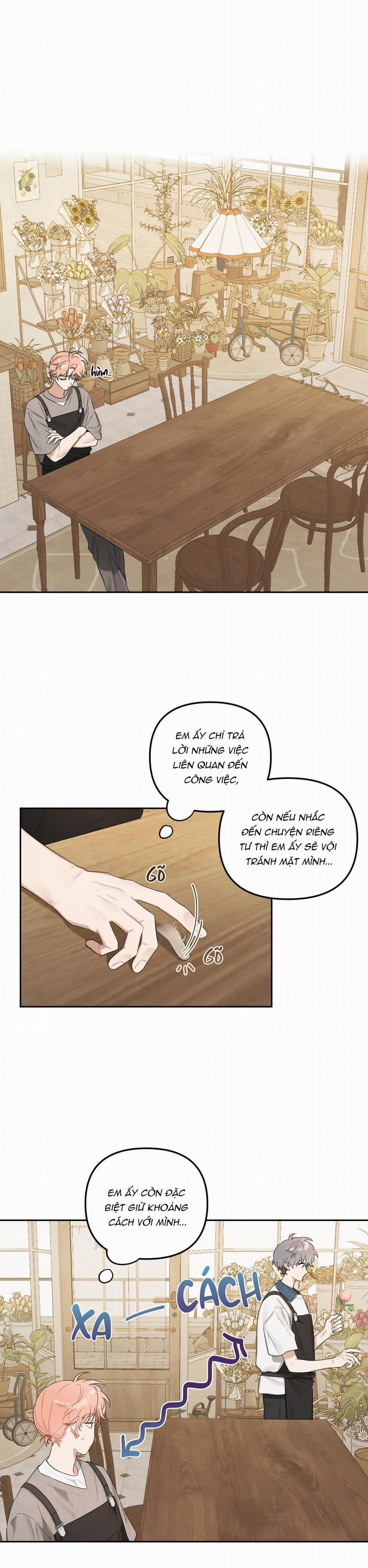 Vườn Nhà Có Hoa 38 trang 7