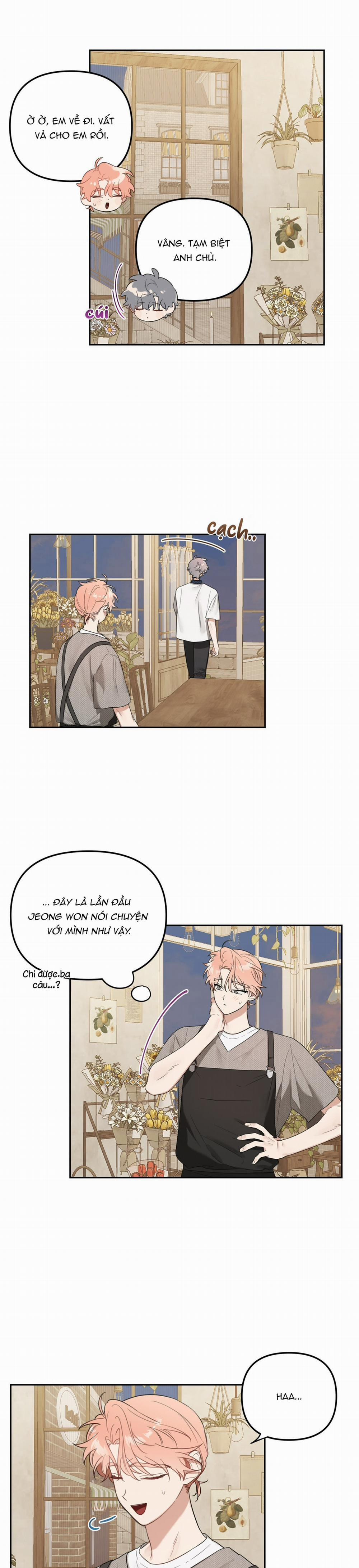 Vườn Nhà Có Hoa 38 trang 9