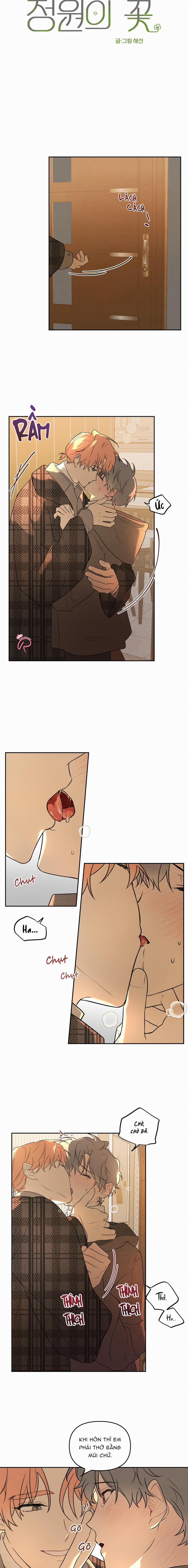 Vườn Nhà Có Hoa 4 trang 4