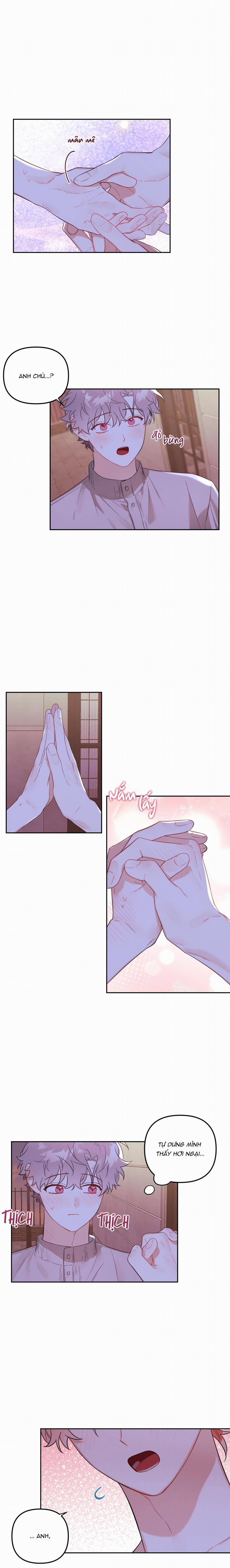 Vườn Nhà Có Hoa 43 trang 12