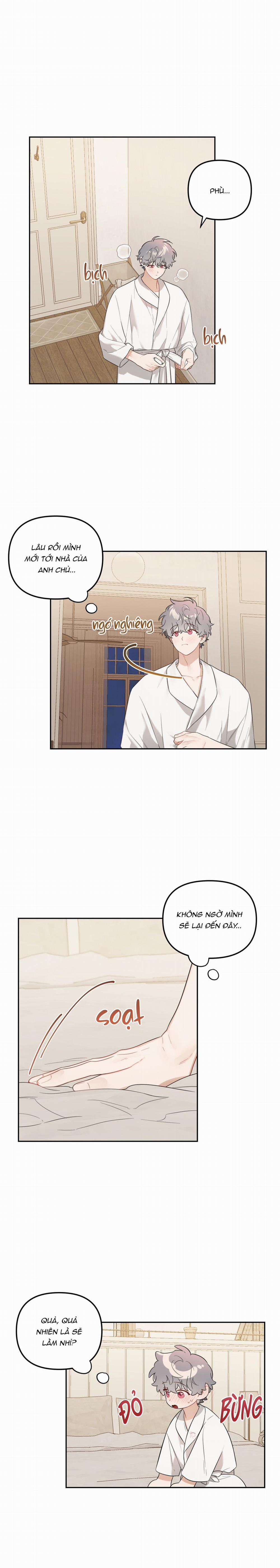 Vườn Nhà Có Hoa 44 trang 8