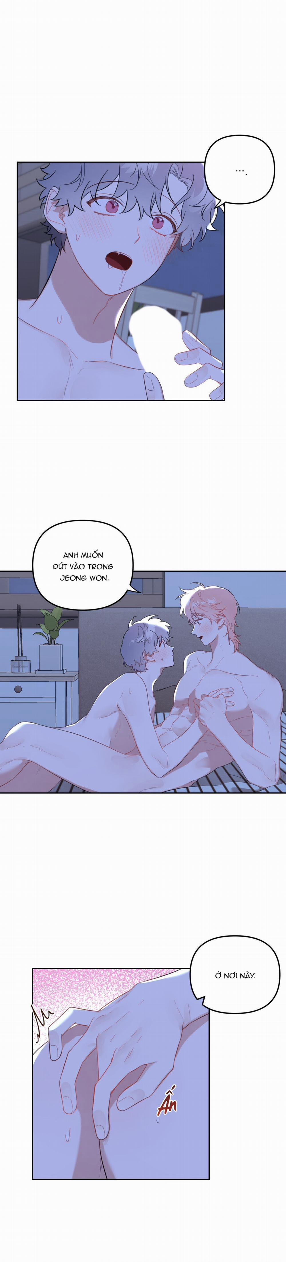 Vườn Nhà Có Hoa 47 trang 12