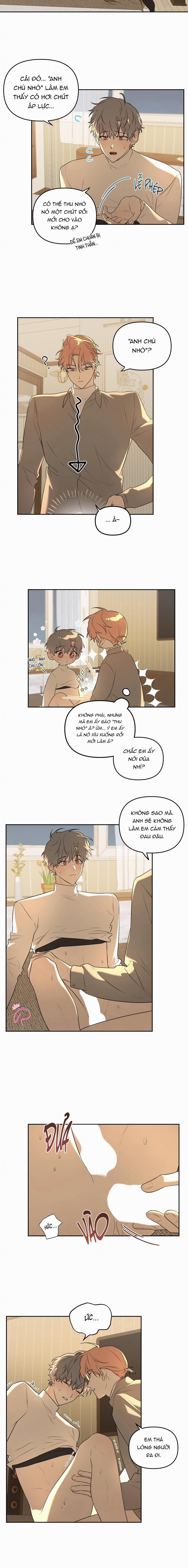 Vườn Nhà Có Hoa 5 trang 1