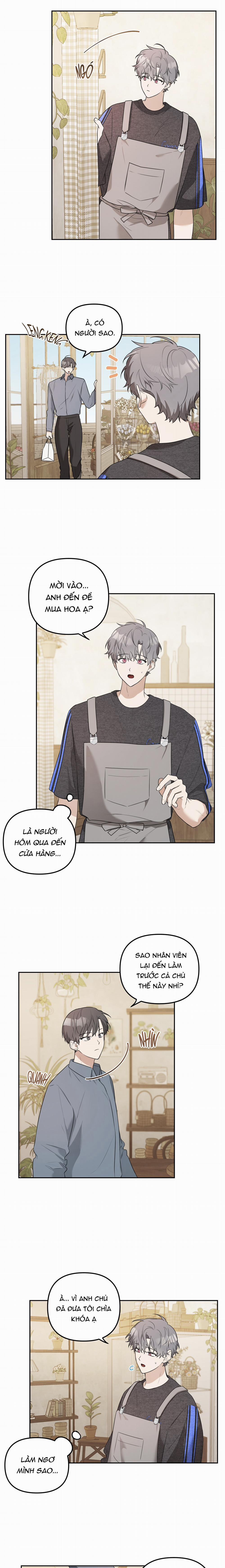 Vườn Nhà Có Hoa 9 trang 11