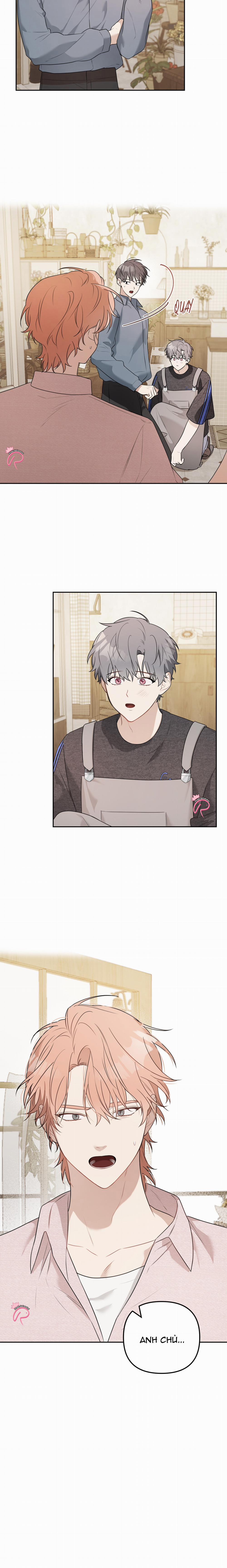 Vườn Nhà Có Hoa 9 trang 14